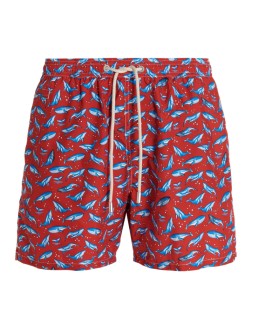 Swim shorts net whale